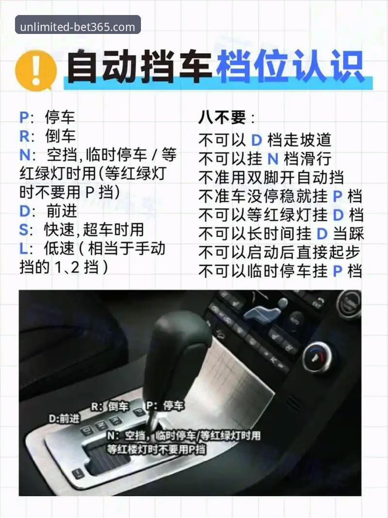 Bet365投注平台评测 5个新手必知要点:Bet365投注平台评测与高效使用指南